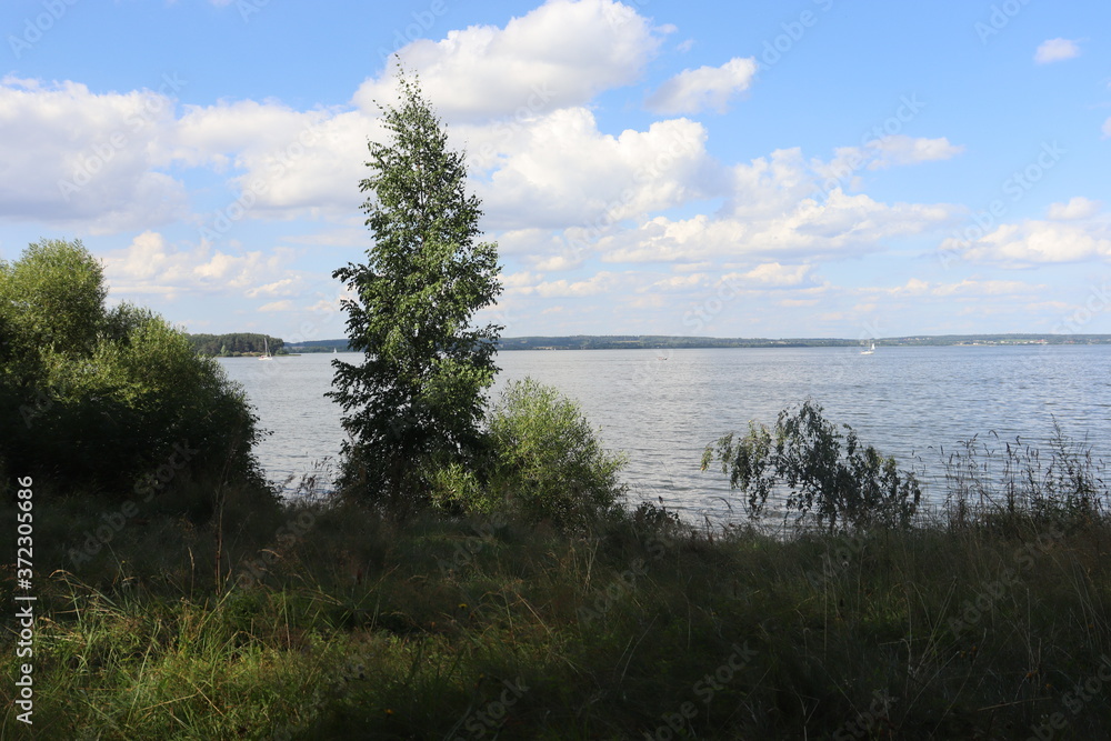 Baltic landscape with forest and lake shore