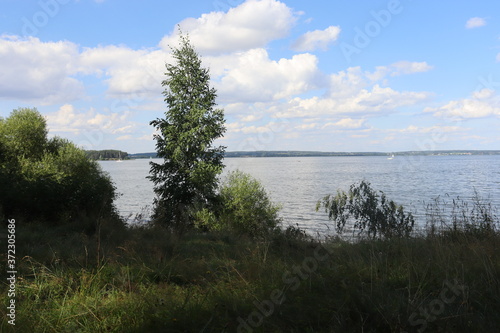 Baltic landscape with forest and lake shore
