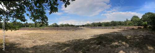 Heather and peet fields Havelte Drenthe Netherlands. Holtingerzand. Blooming heather. Summer. Panorama. photo