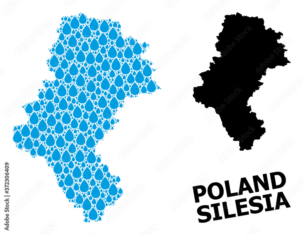 Vector Mosaic Map of Silesia Province of Liquid Tears and Solid Map
