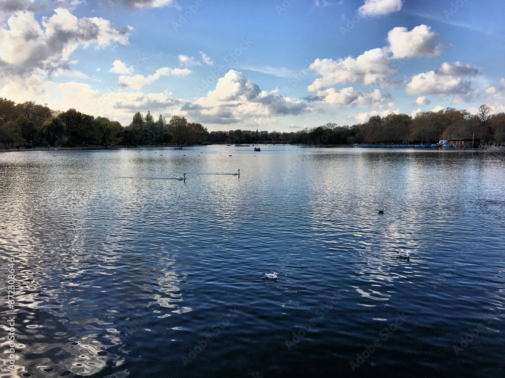 A view of Ellesmere Lake with Swans and Ducks A view of Ellesmere Lake with Swans and Ducks
