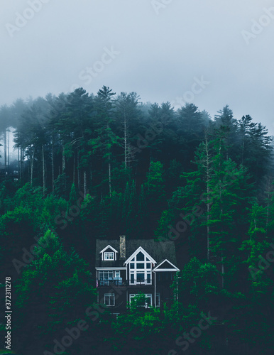 Lake Blue Ridge House