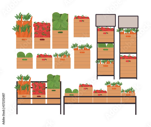 tomatoes lettuces and carrots inside boxes and shelves design, Vegetable organic food healthy fresh natural and market theme Vector illustration