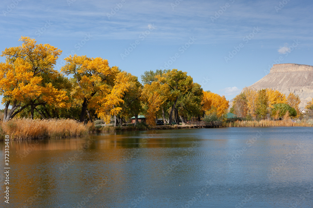 Fototapeta premium Autumn pond in western Colorado