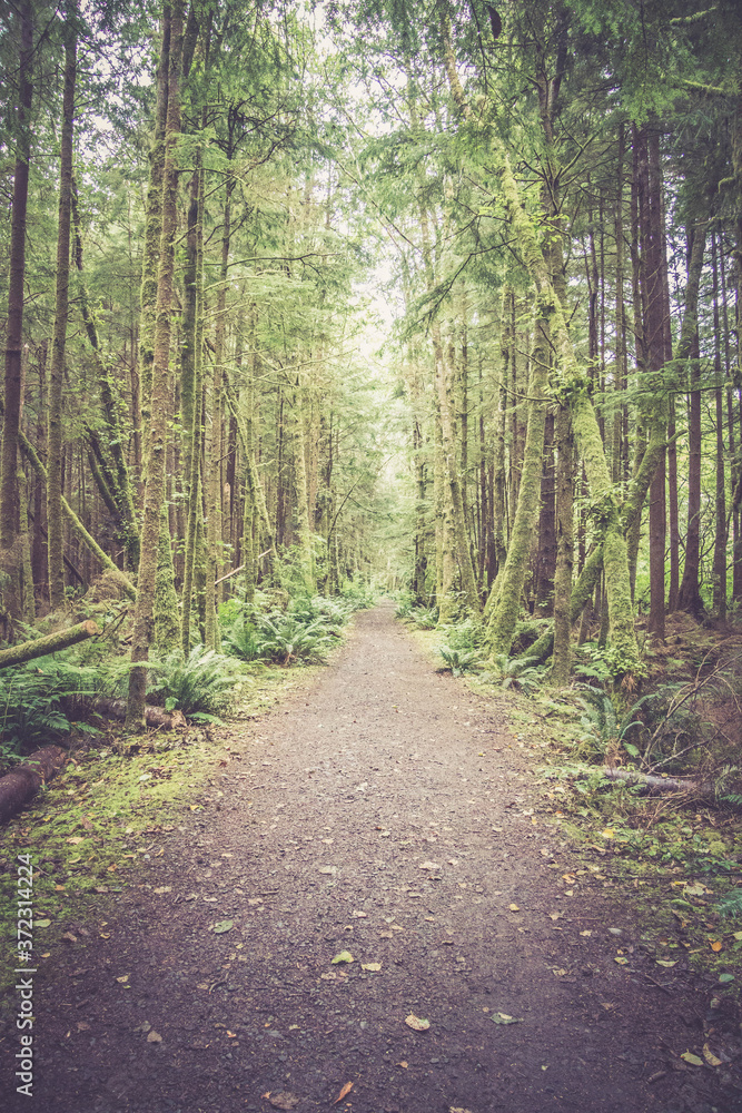 Path Path