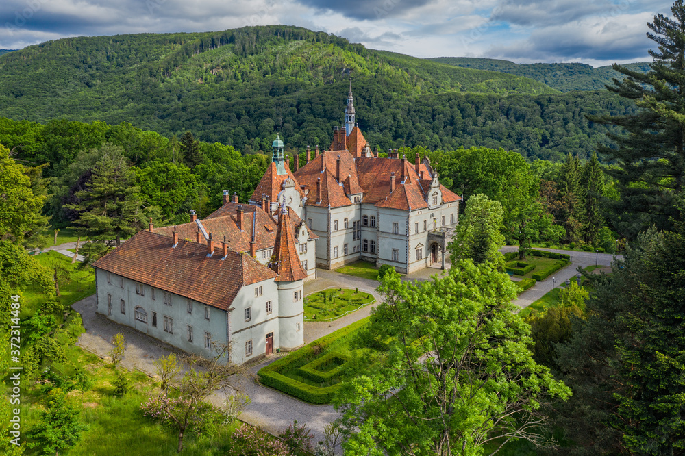 Aerial view on castle of Shenborn, Carpathians mountains, Ukraine. June 2020