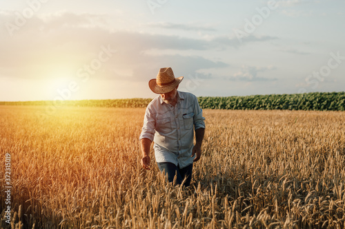 middle aged man on wheat field outdoor photo