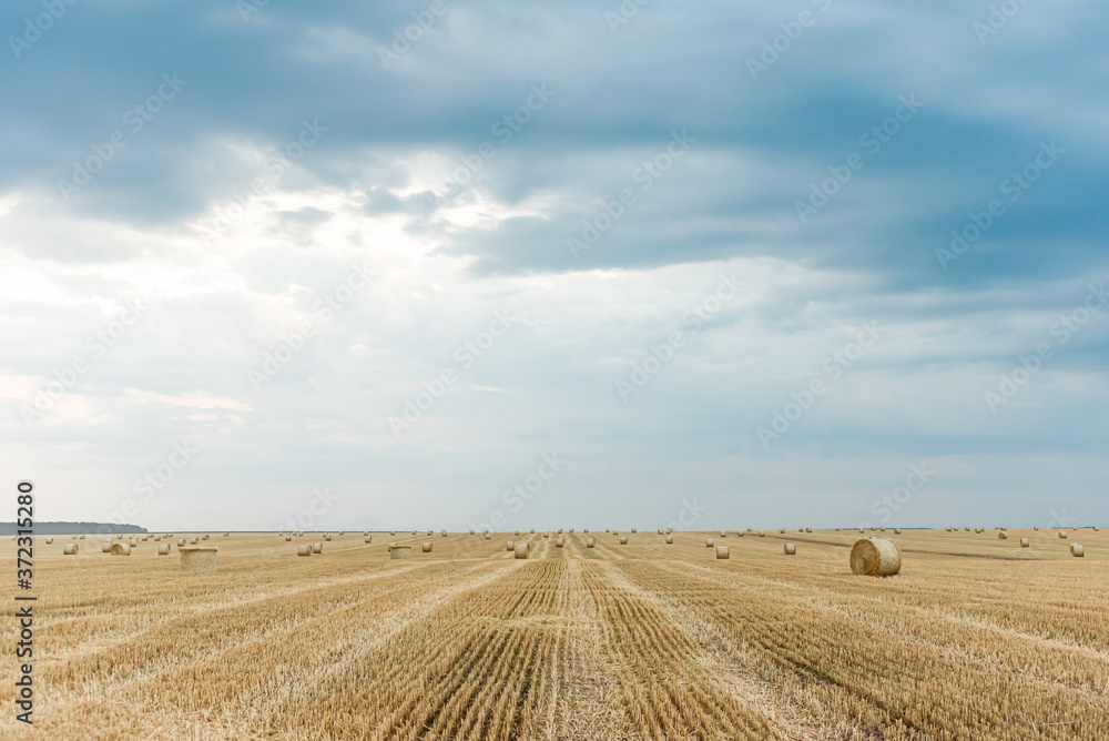 Fototapeta premium Field with straw bales. Beautiful summer rural landscape photographed in Ukraine.