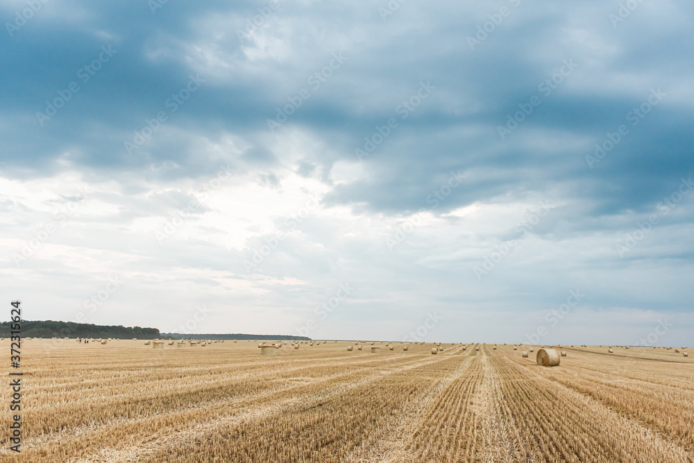 Field with straw bales. Beautiful summer rural landscape photographed in Ukraine.