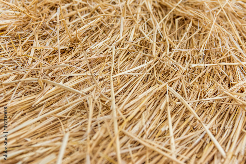 Field with straw bales. Beautiful summer rural landscape photographed in Ukraine. Field with straw bales. Beautiful summer rural landscape photographed in Ukraine.