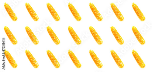 Pattern from fresh colored corn on white background. Creative space for design.