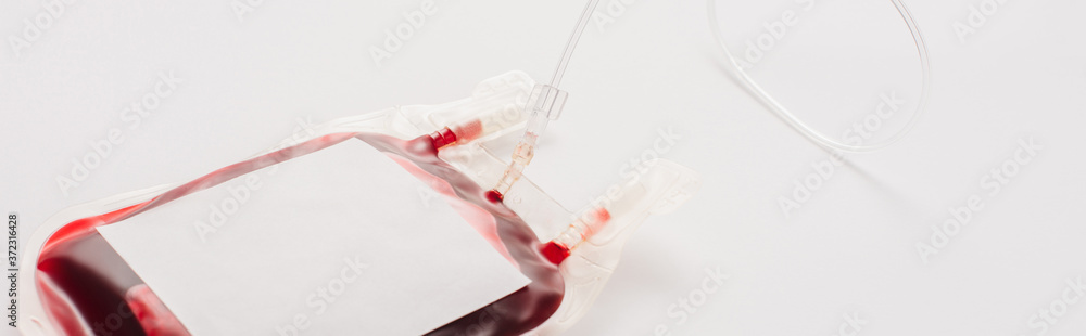 blood donation package with blank label on white background, panoramic shot blood donation package with blank label on white background, panoramic shot