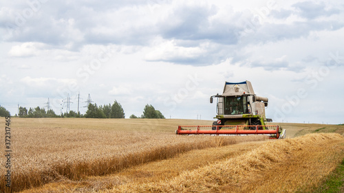 Combine harvester harvests ripe wheat in field  against  backdrop of trees and blue sky with clouds. Collecting seeds of cereals with special equipment on farm. Harvester cutting spikelets for flour