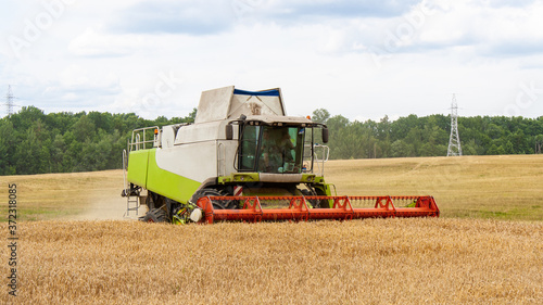 Combine harvester harvests ripe wheat near in the field  against the background of the forest and sky with clouds. Collecting seeds of cereals with special equipment on the farm. 