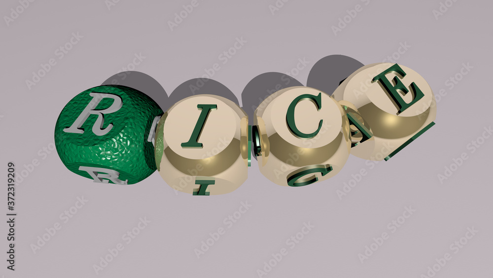 combination of rice built by cubic letters from the top perspective, excellent for the concept presentation for background and food combination of rice built by cubic letters from the top perspective, excellent for the concept presentation for background and food