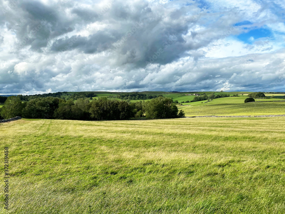 Extensive meadow, with wild grasses, trees, farms and hills, on a cloudy day in, Eshton, Skipton, UK