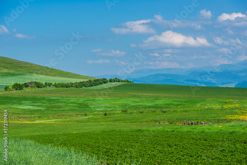 Beautiful landscape with field and mountains, Armenia