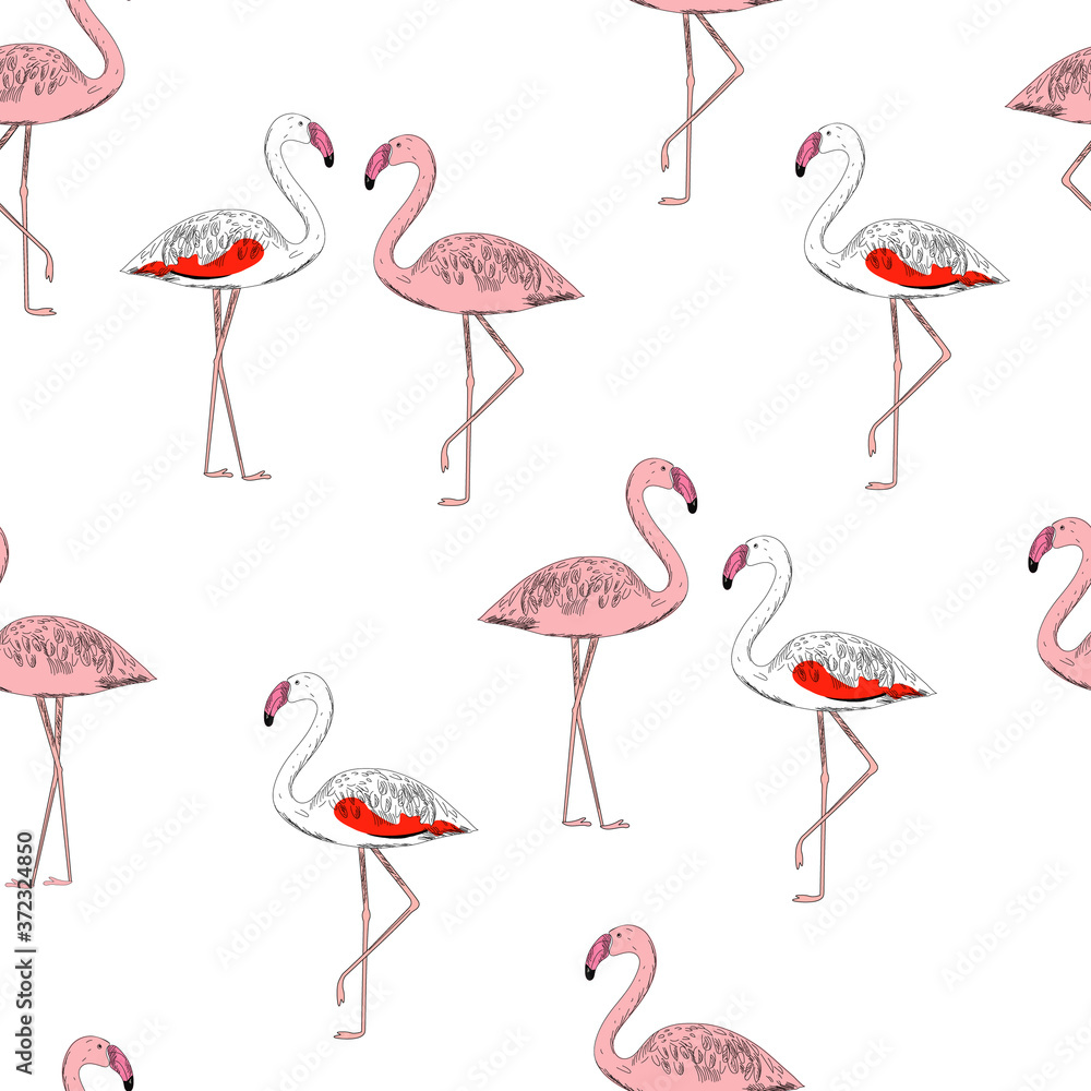 Fototapeta premium Flamingo seamless pattern on white background. Pink and Chilean flamingos. Fashionable vector illustration. minimalist style.