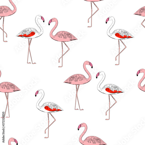 Flamingo seamless pattern on white background. Pink and Chilean flamingos. Fashionable vector illustration. minimalist style. © yulliash