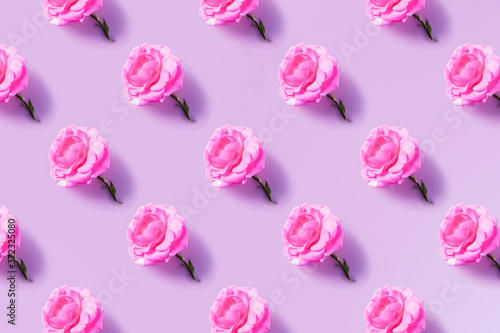 Pink roses flat lay in repetitive pattern, on top of pink background.