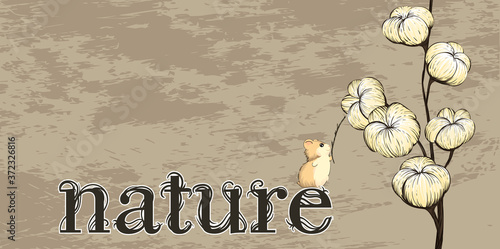 The word "nature" is next to a cotton Blossom on a decorative aged vintage background with cute hamster. Flower illustration. Botanical design. EPS 10