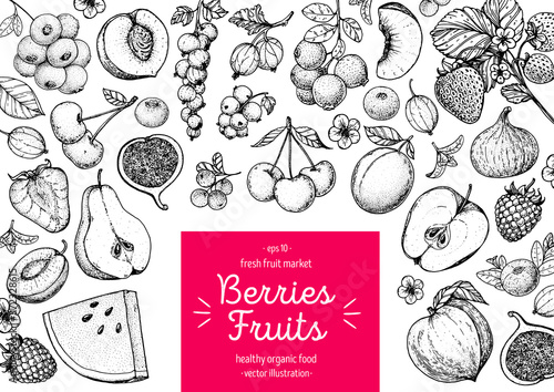 Berries and fruits drawing collection. Hand drawn berry sketch. Vector illustration. Engraved style.