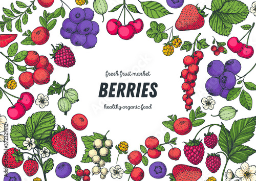 Berries drawing collection. Hand drawn berry. Vector illustration. Food design template with berry. Strawberries, raspberries, blueberries, cranberries, currants, cherries, lingonberries.