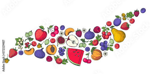 Berries and fruits collection. Hand drawn vector illustration. Food illustration. Hand drawn berry and fruit set. Colorful illustration.