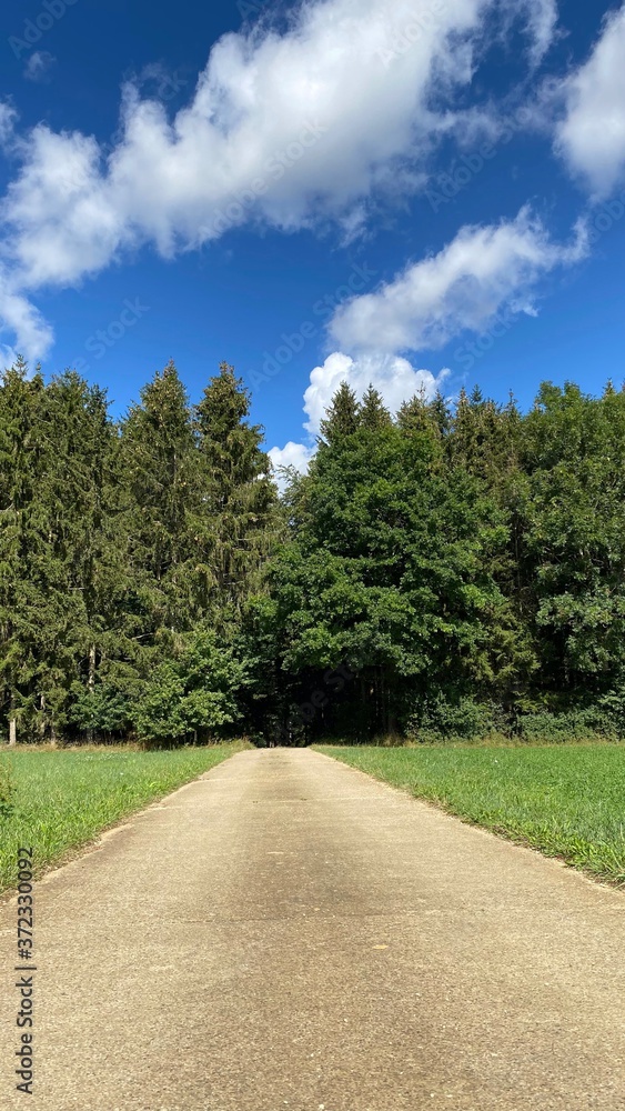 path in the park