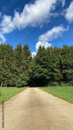 path in the park