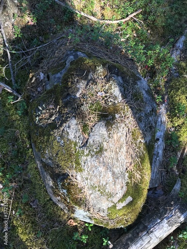 stone