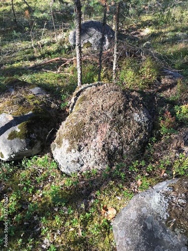 stone