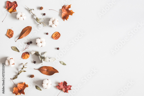Autumn composition. Frame made of eucalyptus branches, cotton flowers, dried leaves on pastel gray background. Autumn, fall concept. Flat lay, top view