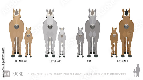 Set of Vector Fjord Ponies with Foals Front Facing