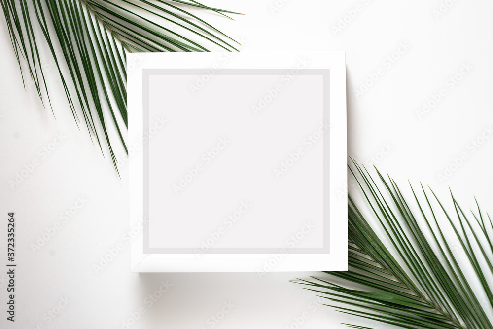 Tropical green leaf frame on white Tropical green leaf frame on white