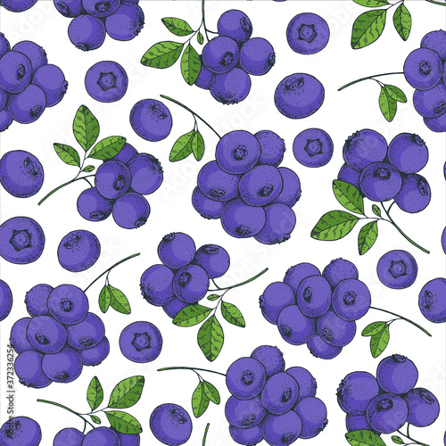Seamless pattern with blueberries. Hand drawn background. Colorful blueberry illustration. Vector illustration.