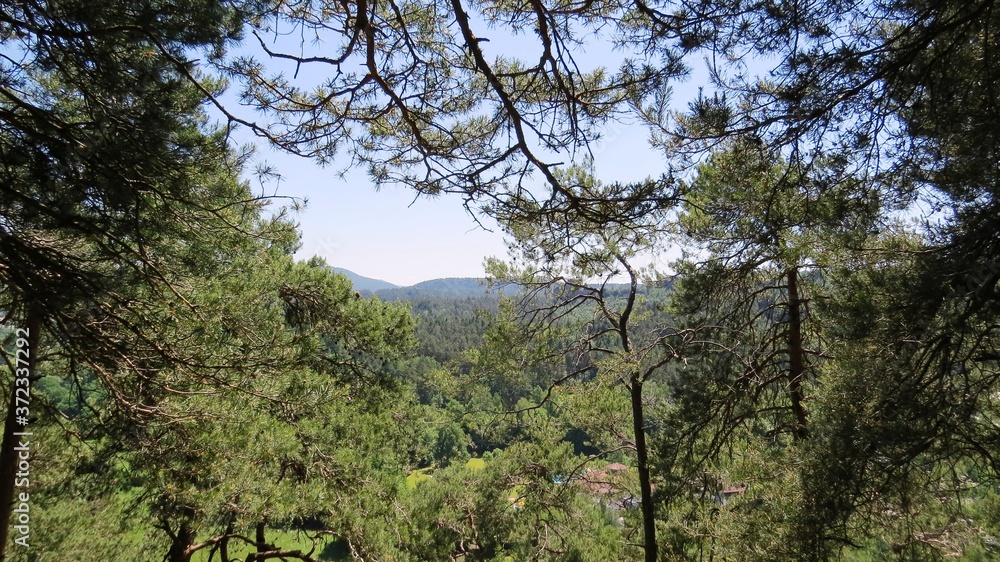 Fototapeta premium Im Wald - wandern