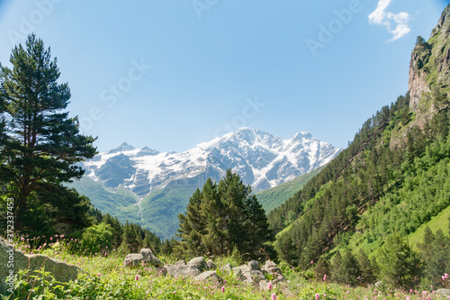 Mountain river, against the mountains forest, originating from glacier. Beautiful travel landscape of Caucasus.