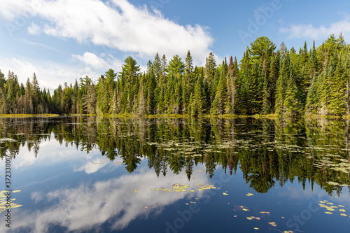 Lake landscape at West Rose Pond in Algonquin Provincial Park 
