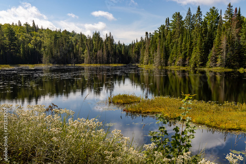 Fototapeta Naklejka Na Ścianę i Meble -  Lake landscape at Wolf Howl Pond in Algonquin Provincial Park
