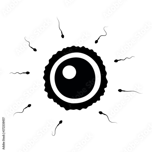 Human fertility concept