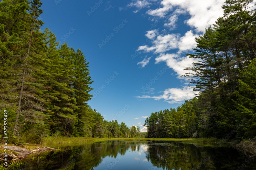 Obraz premium Beautiful scenery along shore of Canadian lake