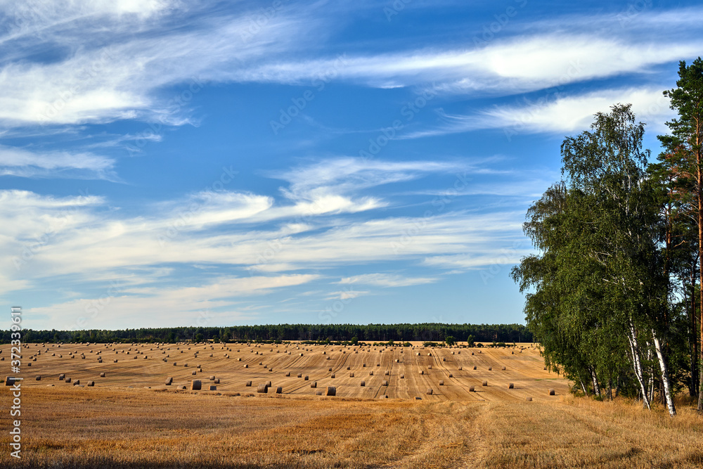 rural landscape with arable fields after the harvest