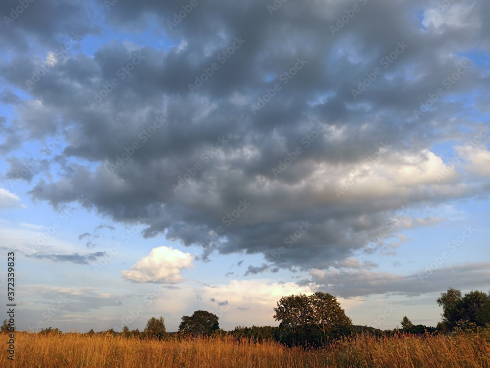 photo of the field on a summer evening
