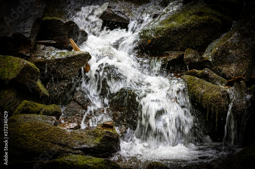 Small fast running waterfall in Canadian forest