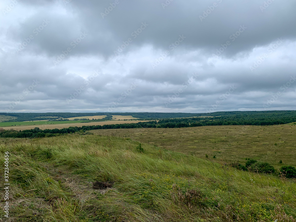 Hilly field with forest in the background in cloudy weather. Gray clouds in the sky. A grassy field. Cloudy weather, early autumn