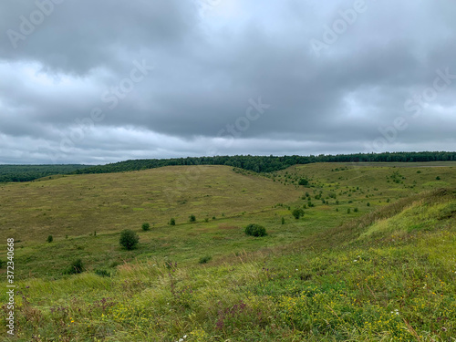 Hilly field with forest in the background in cloudy weather. Gray clouds in the sky. A grassy field. Cloudy weather, early autumn