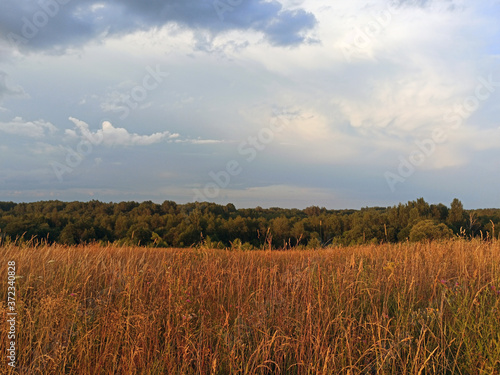 Obraz na płótnie photo of the field on a summer evening w salonie