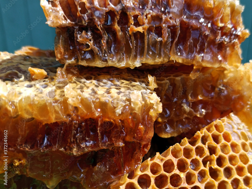 Fresh honey in comb. Healthy food concept, diet