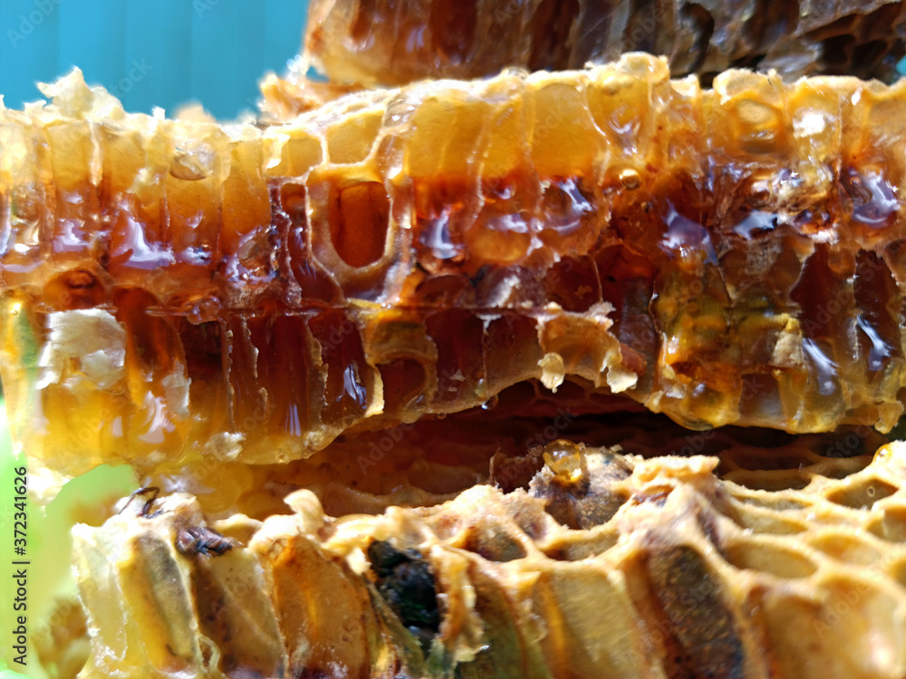 Fresh honey in comb. Healthy food concept, diet